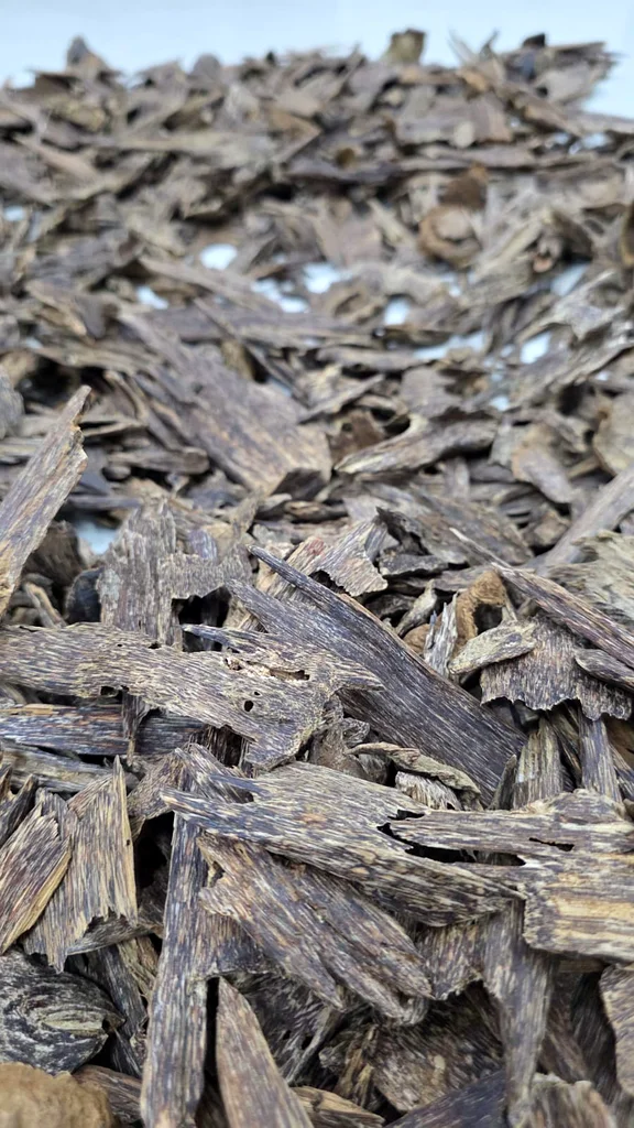 Oudh Indonesia63221347710595117