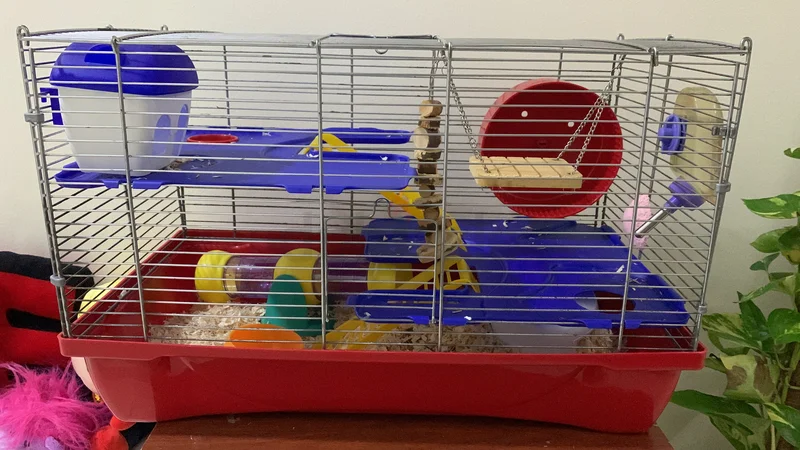 Colorful Multi-Level Hamster Cage with Accessories62930650149379117