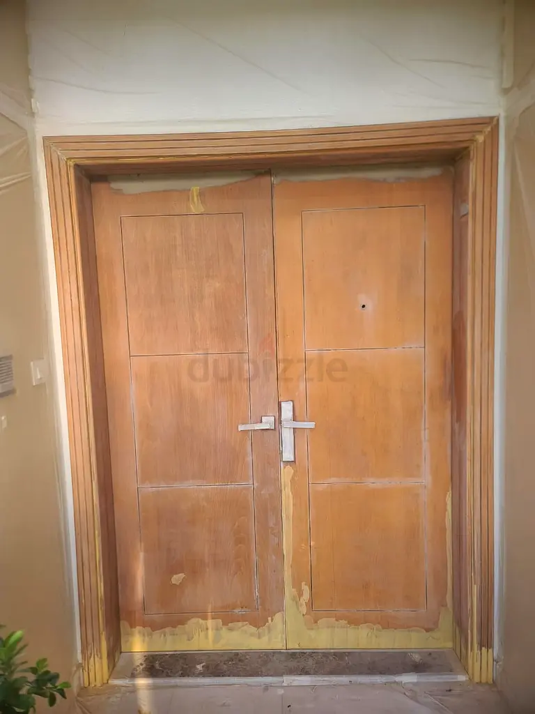DPV_View_Image_2