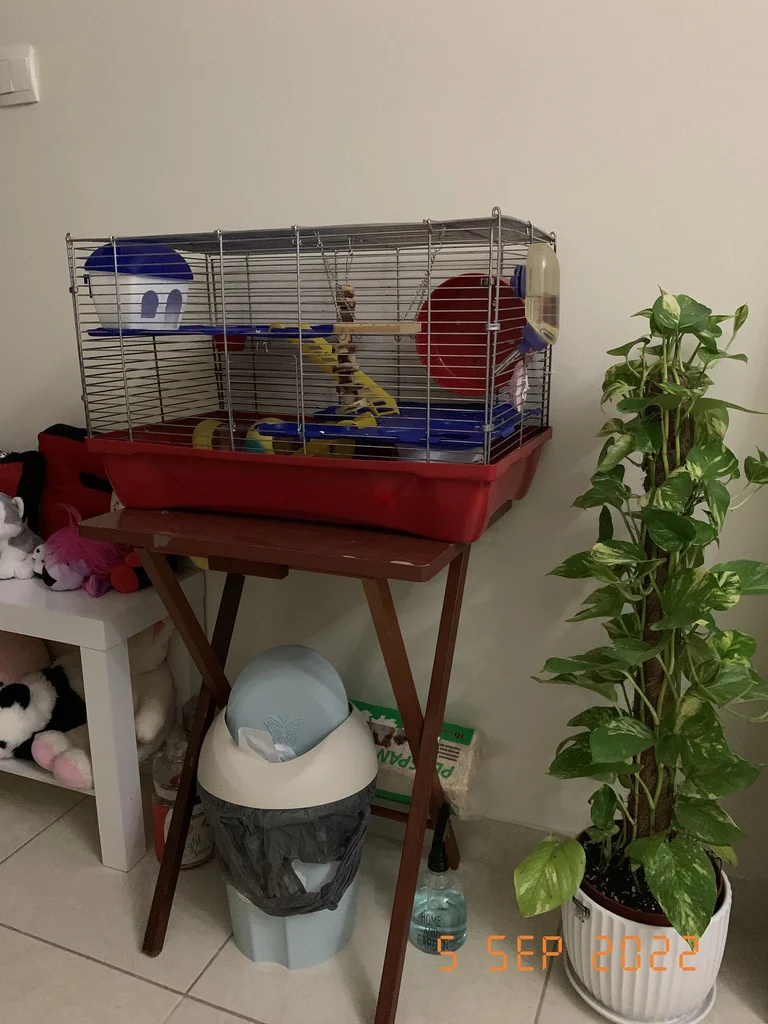 Colorful Multi-Level Hamster Cage with Accessories62930650149379111
