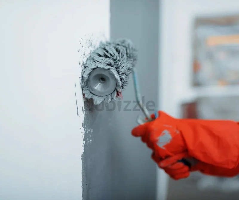 Professional Wall Painting Services in Dubai | Fast, Clean  Affordable62933698844035118