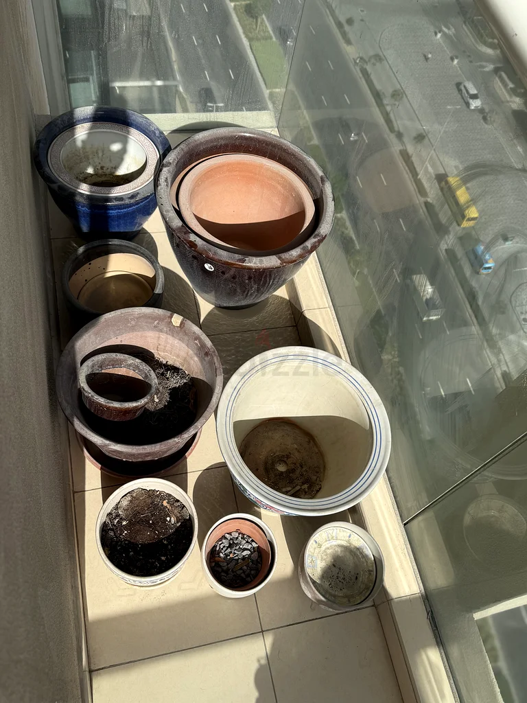 Plants pots to sell63221849154945113