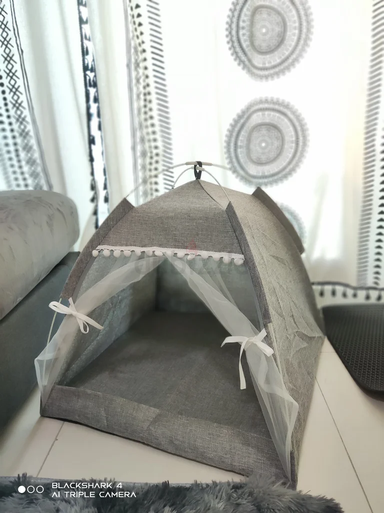 Cat Tent, brand new62930650126337116