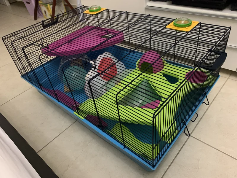 Spacious Cage with Accessories for Hamster62930650143361111
