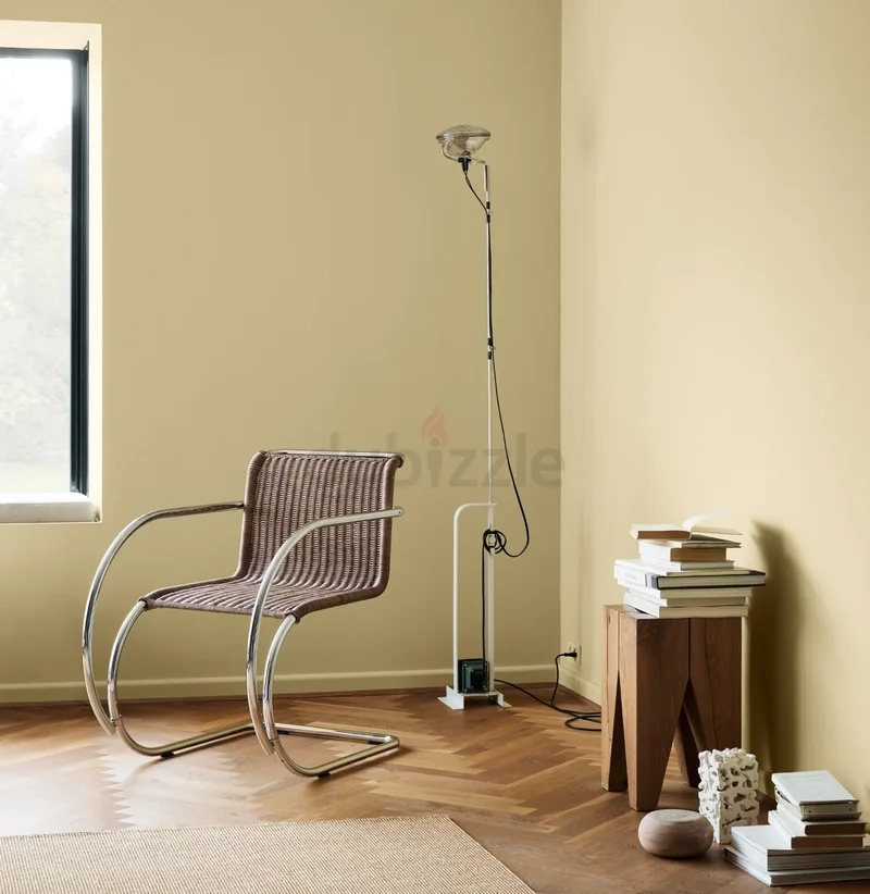 Professional Wall Painting Services in Dubai | Fast, Clean  Affordable62933698844035114