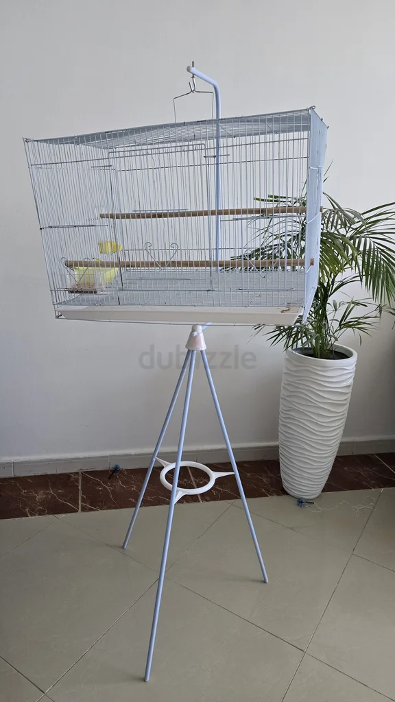 Spacious Bird Cage with Canaries for Rehoming!62930650217218111