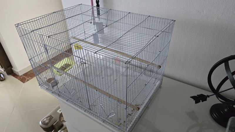 Spacious Bird Cage with Canaries for Rehoming!62930650217218113