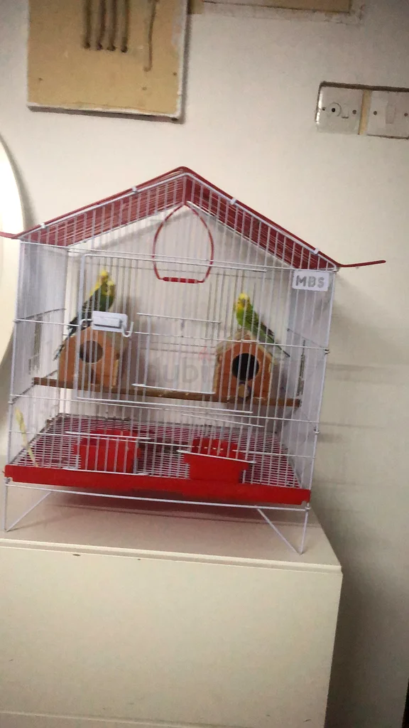Charming Bird Cage with Nesting Boxes63231685693057110