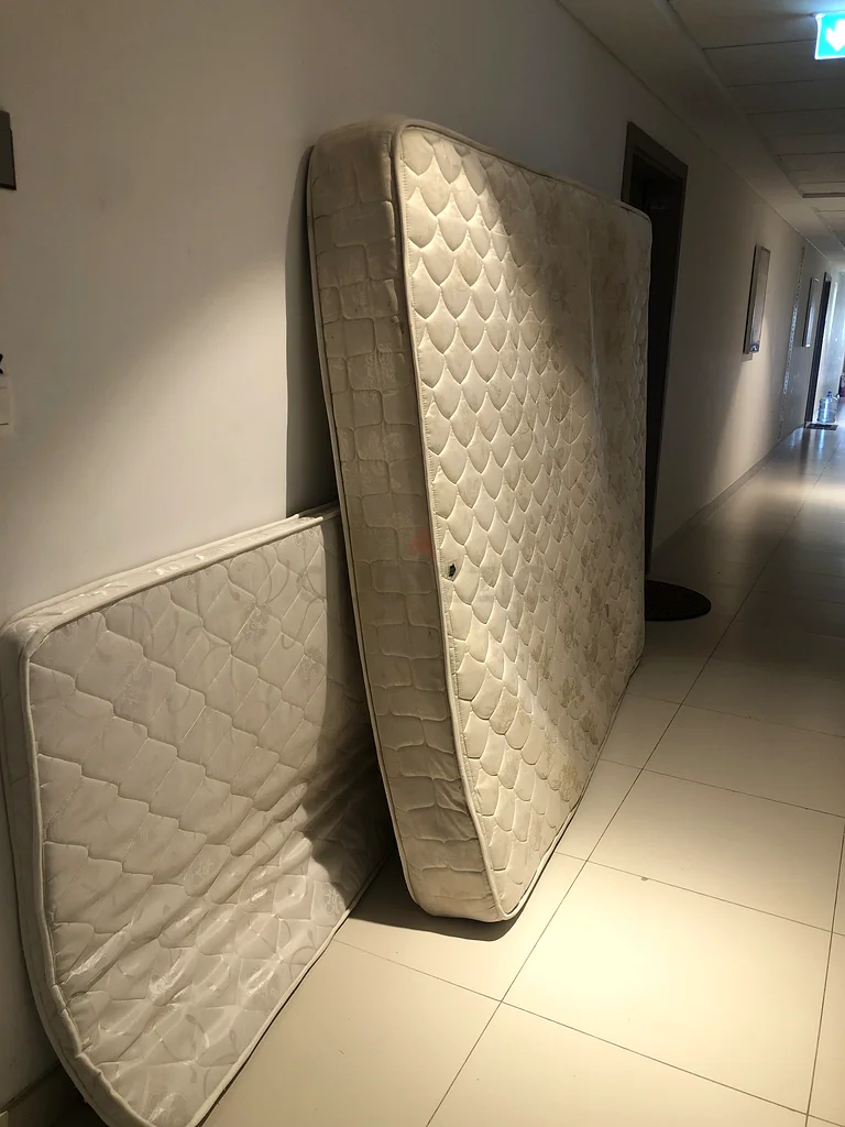 جزيرة مريم632640645027851126