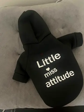 Cat clothing - hoodie