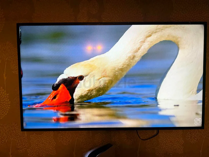 شاشة سامسونج 65 بوصه 4k فل سمارت63165715465345114