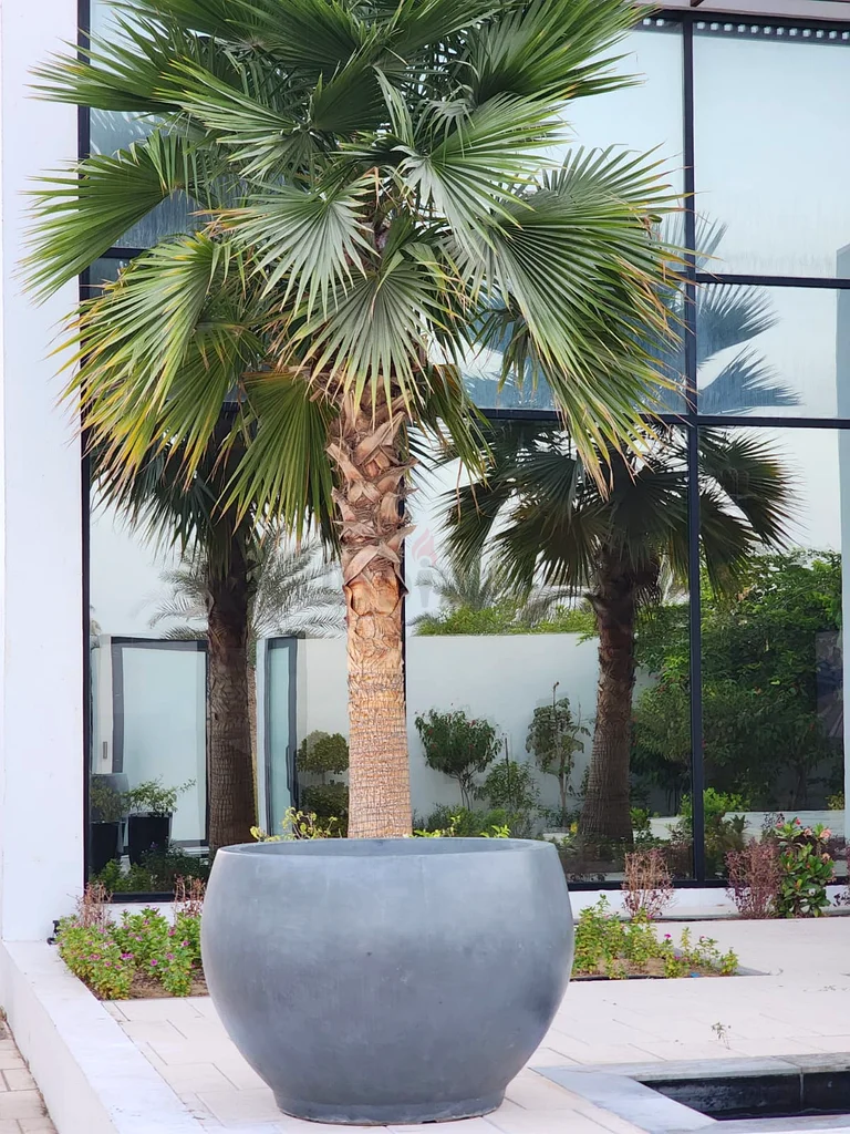 large outdoor planters63220827979523112