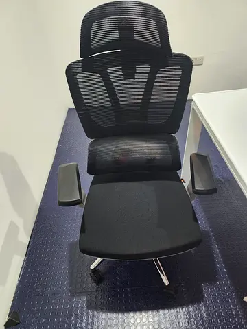 Ergonomic executive mesh chair