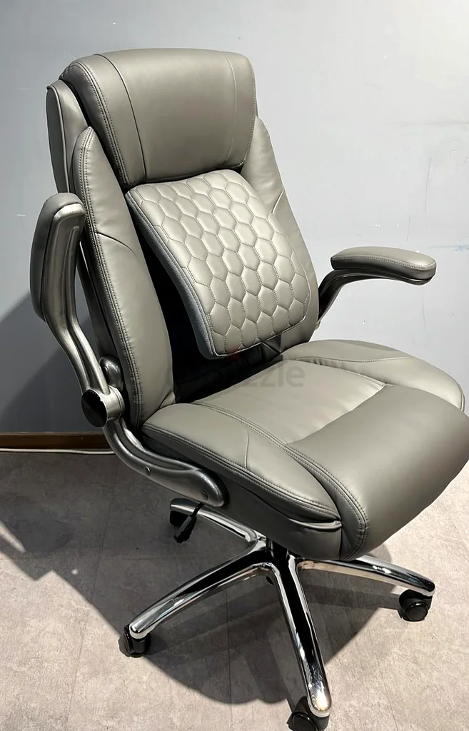 Office manger ceo chairs gray.63187235932418111