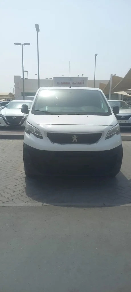 PEUGEOT EXPERT62931646864387111