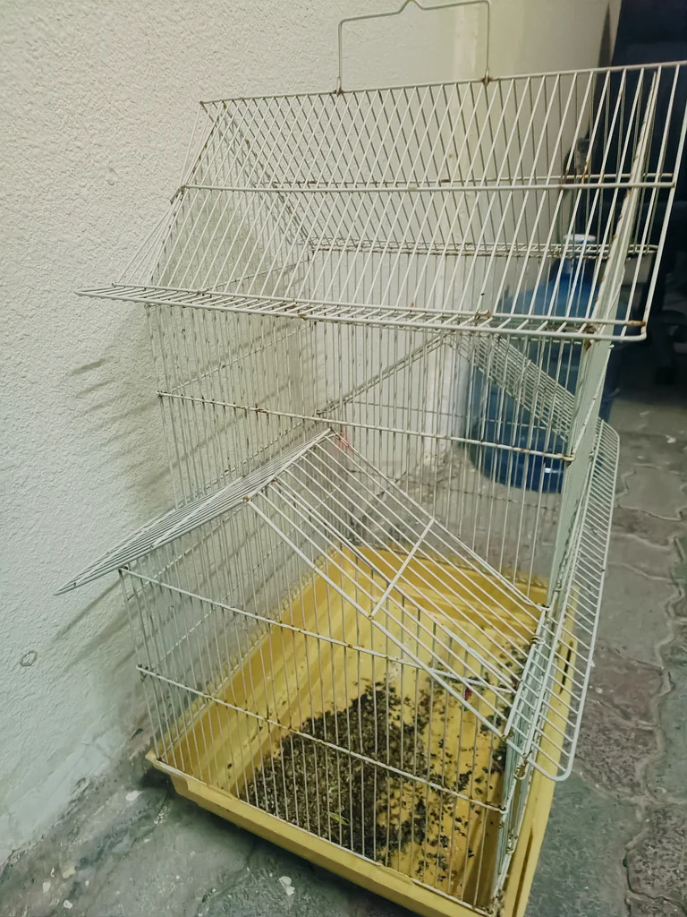Spacious Bird Cage with Removable Base for Sale!63233132080641111