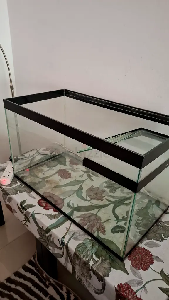 1  FISH TANK and 1 TURTLE TANK just for 150AED