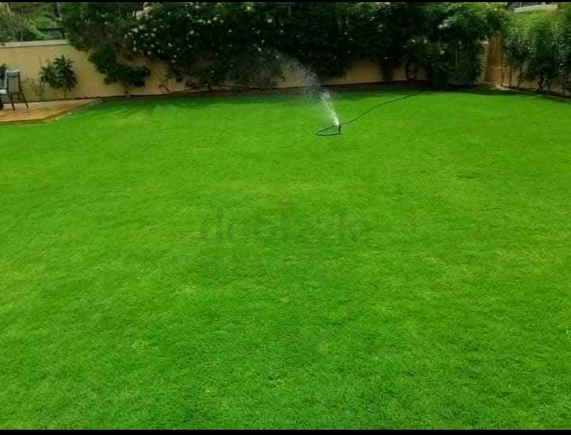حديقة منظر طبيعي وتصويت خياطة تم الحفاظ عليهما63441099984642111