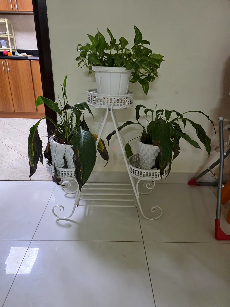 Baby high chair, flower pot indoor stand63204278042754112