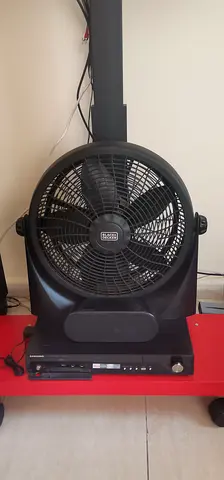 Fan