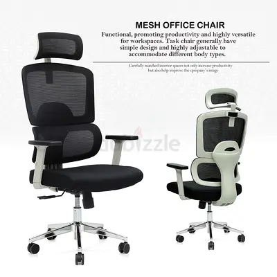 Ergonomic mesh chair