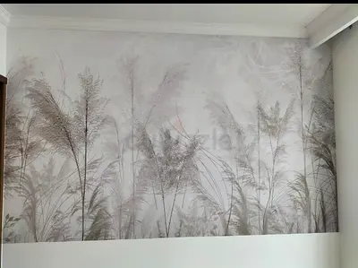 Wallpaper services