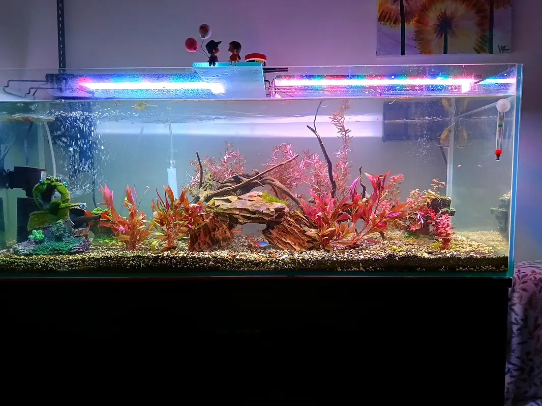 Stunning LED Aquarium with Vibrant Underwater Landscape