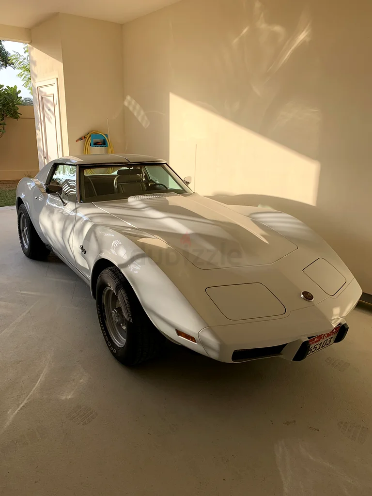 Corvette C3 Stingray 197563153226642049112