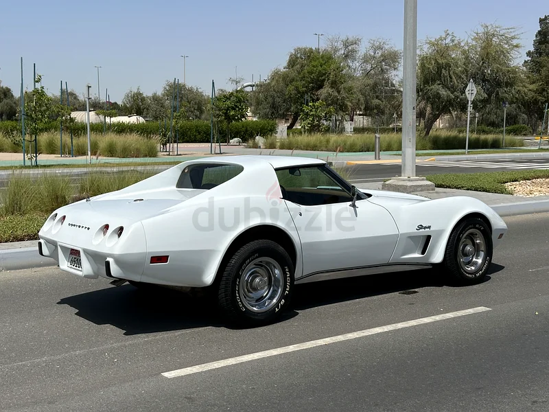 Corvette C3 Stingray 197563153226642049111