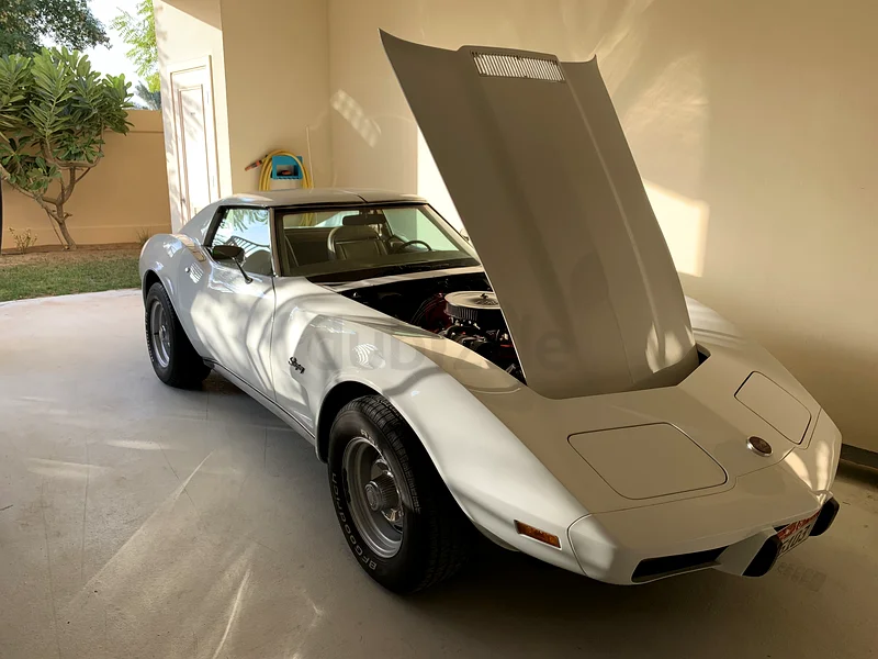 Corvette C3 Stingray 197563153226642049114