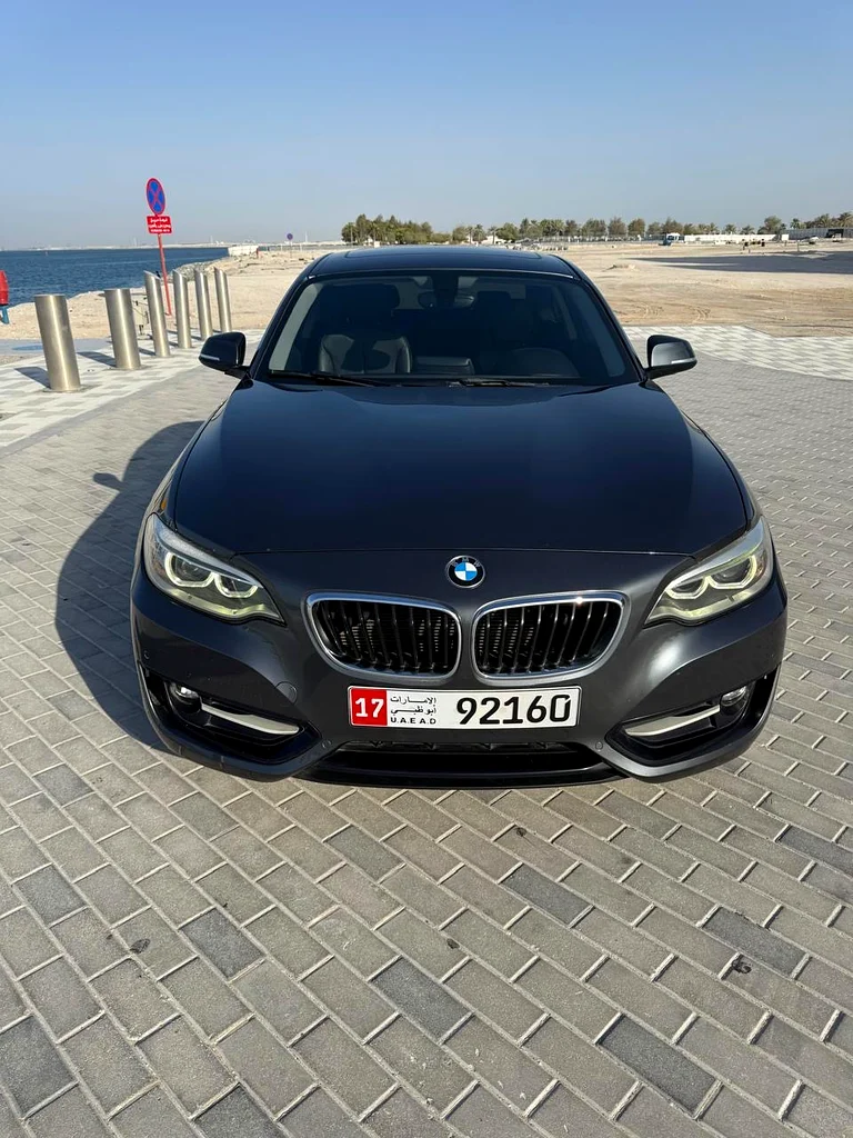 BMW 220 Coupe GCC 2016 Super Clean63160608508673114