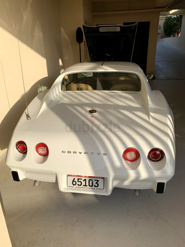 Corvette C3 Stingray 197563153226642049113