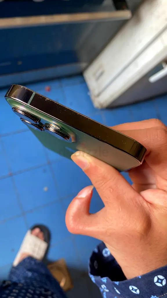iPhone 13pro max63213934894849113