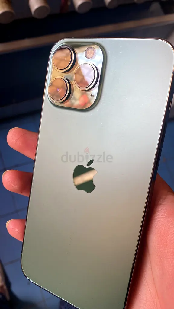 iPhone 13pro max63213934894849111