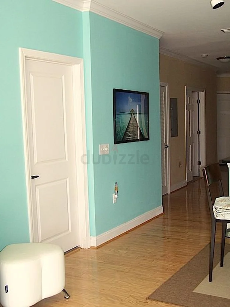 APARTMENT, VILLA, OFFICE ALL KIND OF PAINTING SERVICES WITH GOOD PRICE CALL NOW.......62932701803779111