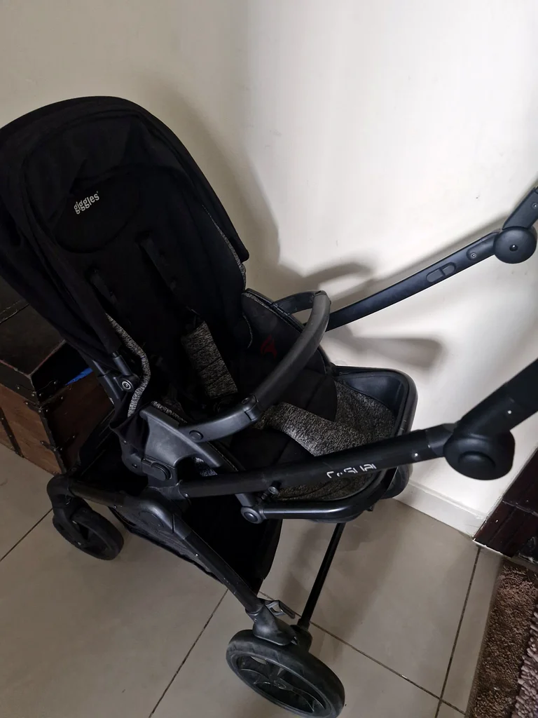 Stylish and Functional Stroller for Your Little One!63174810099586111