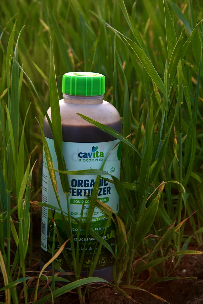 Cavita Biocomplex Organic fertilizer63258656707459111