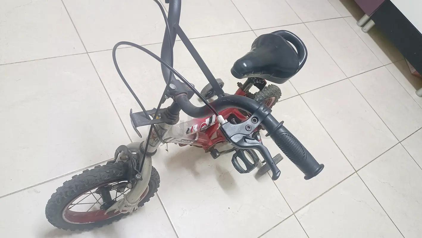 BICYCLE63244712336513111