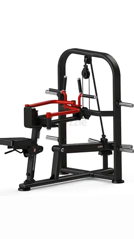 Seated Rear Shoulder Press