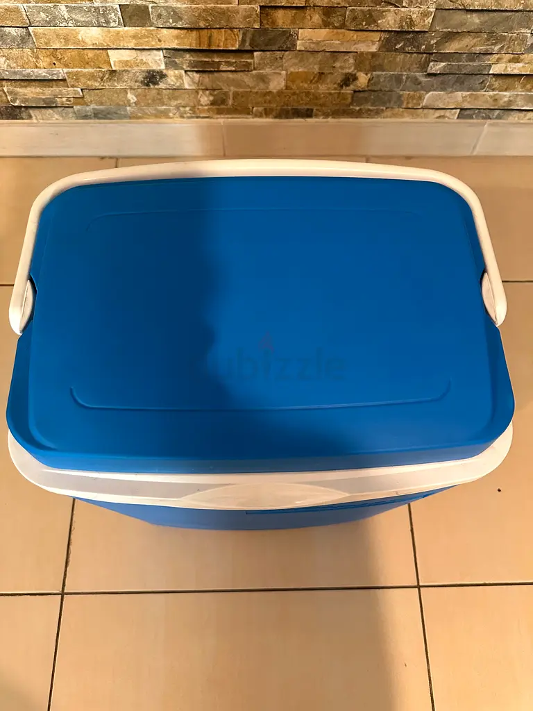 2 in 1 Campingaz Blue Normal / Electric Cooler