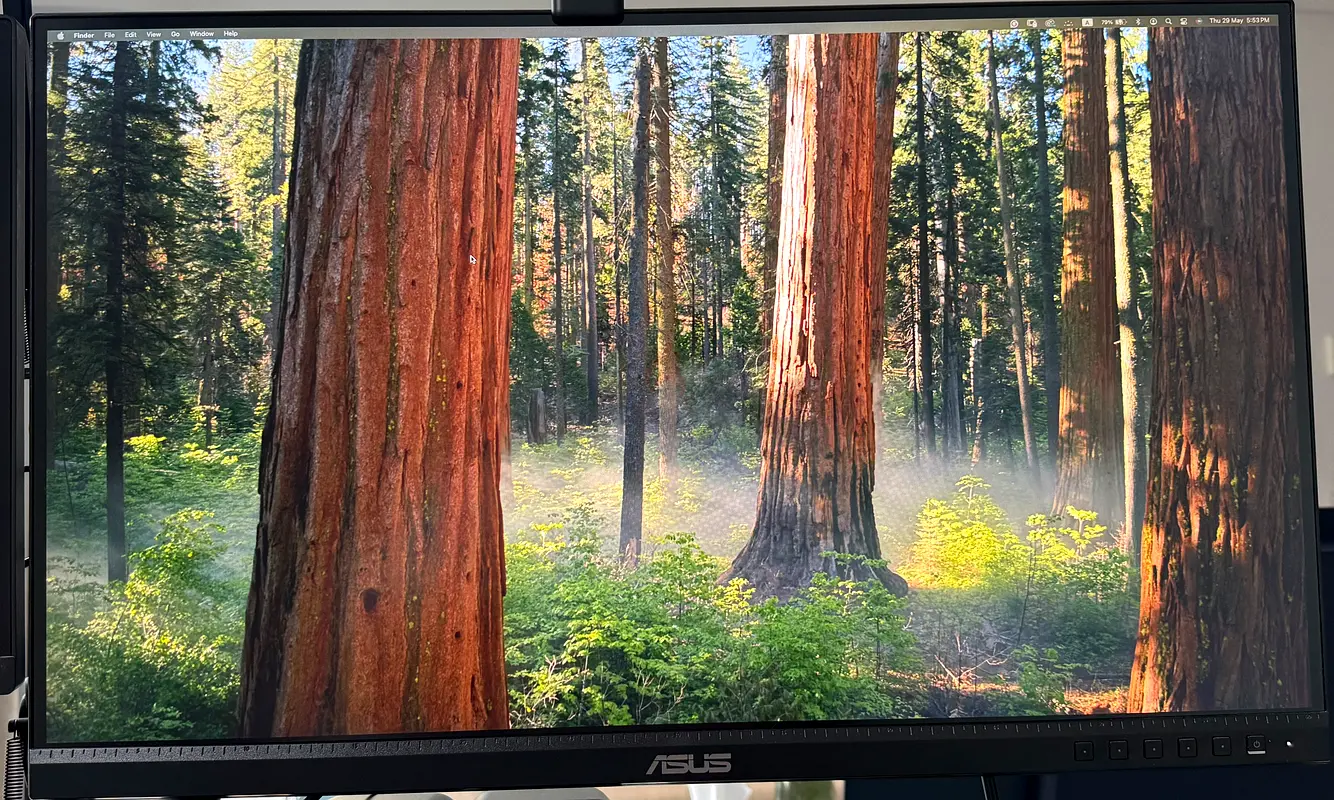 ASUS ProArt Display 27”