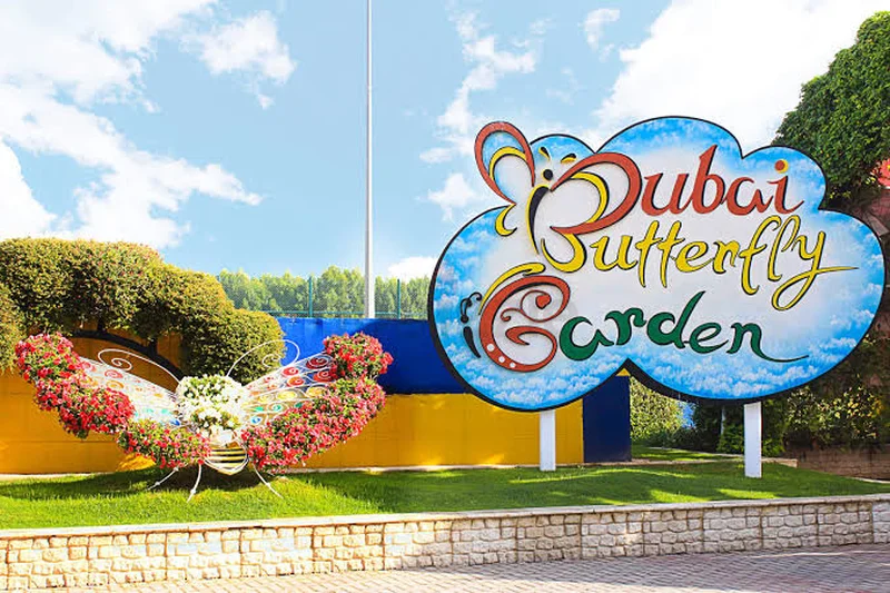 Butterfly garden629296560318731113