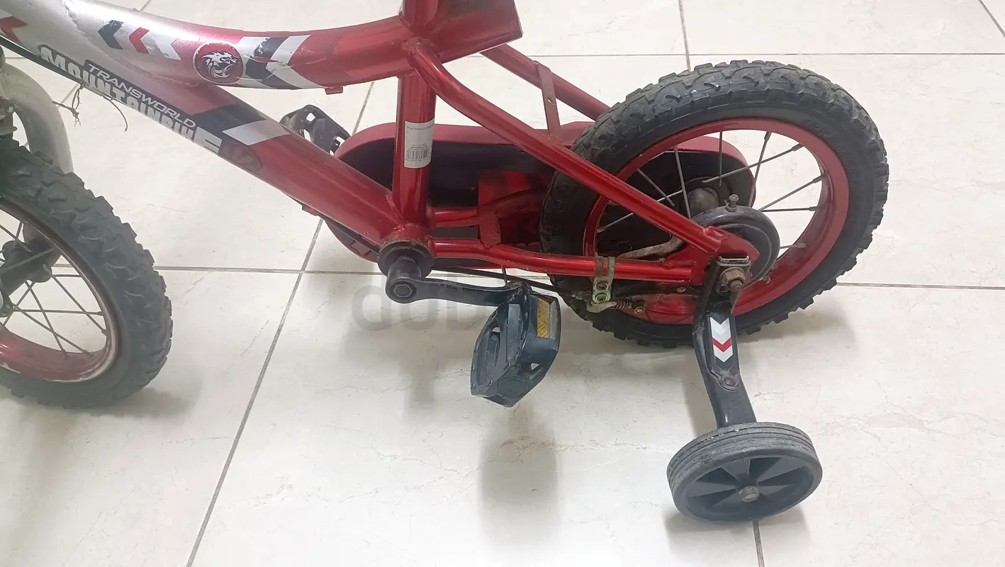 BICYCLE63244712336513113