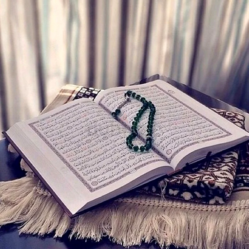 Quran With Tajweed and School Arabic63442182912897111