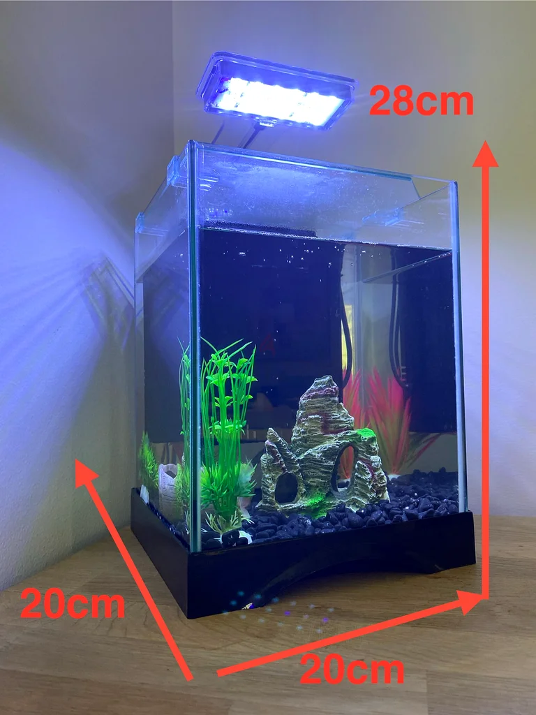 Aquarium including filter and accessories62930650155265111
