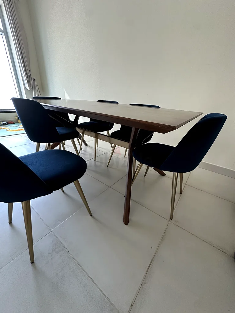 Sleek, Modern Dining Set- Perfect for Contemporary Homes62863820147331112