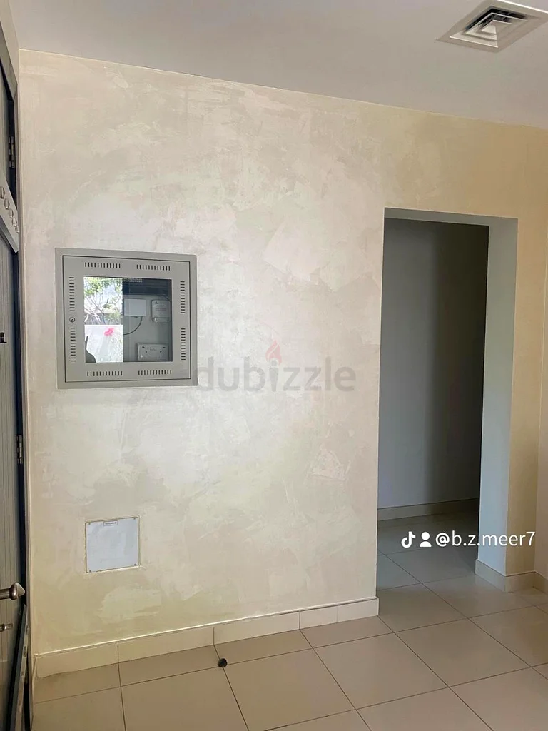 Antique Painting Service and Home Maintenance62930660818307114