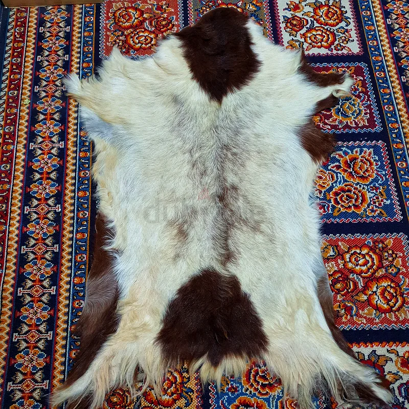 سترة فريدة من جلد الماعز 100٪ جلد حقيقي فاخر، بساط من جلد الماعز، بطانية، بساط من جلد الشعر الناعم63220318832897111