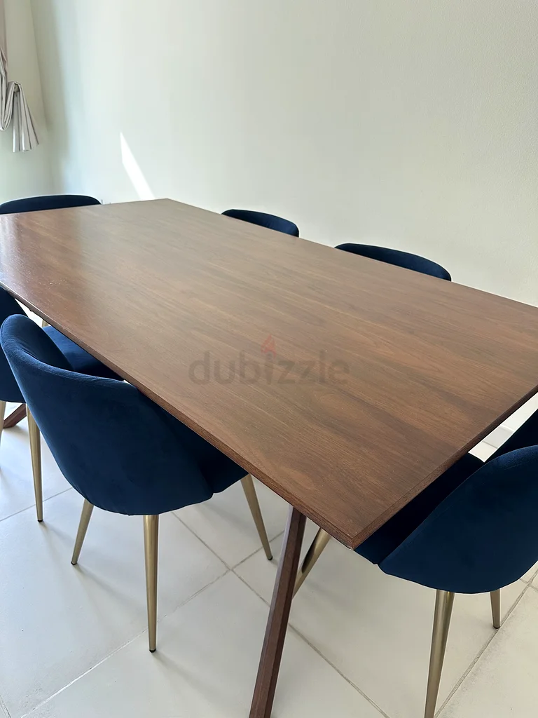 Sleek, Modern Dining Set- Perfect for Contemporary Homes62863820147331111