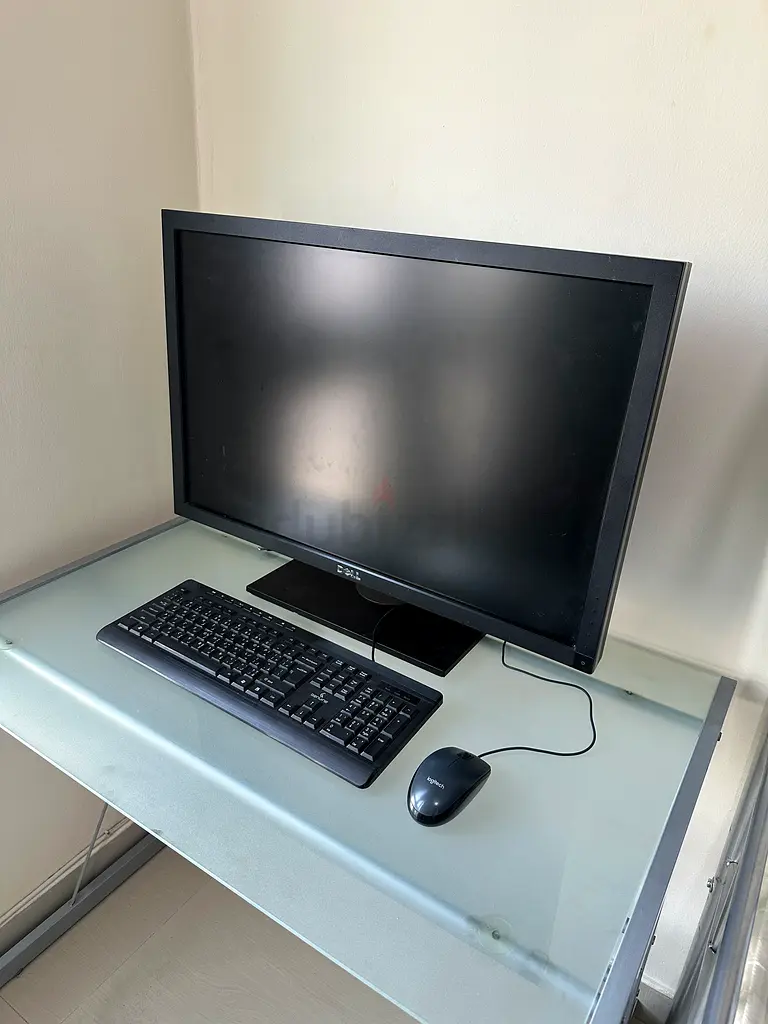 Dell computer monitor 30 inch